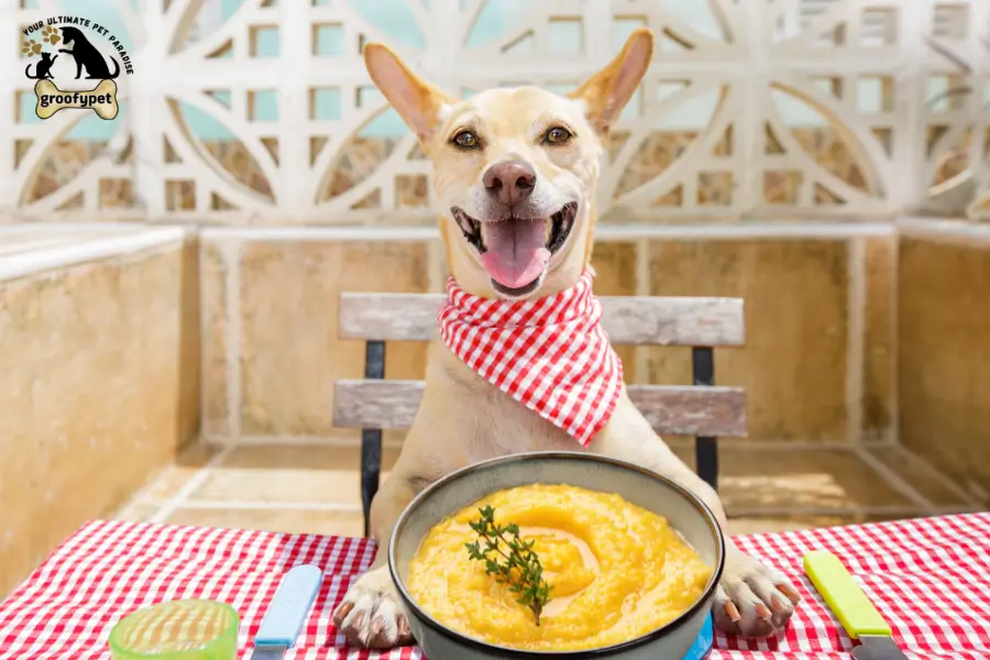 can dogs eat polenta