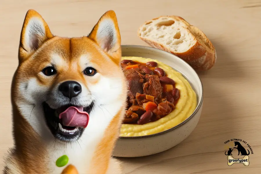 can dogs eat polenta