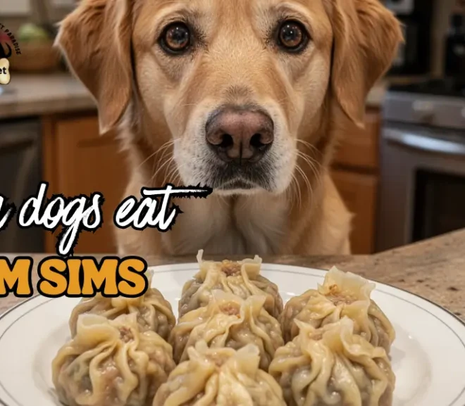 Can Dogs Eat Dim Sims?Benefits,Risks and Safe Alternatives!
