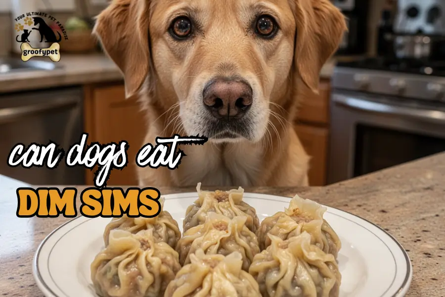 can dogs eat dim sims