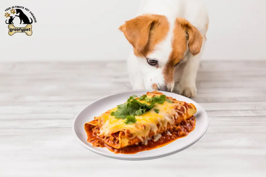 can dogs eat enchiladas