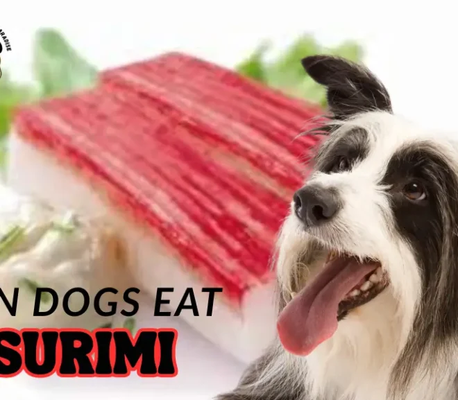Can Dogs Eat Surimi Full Guide to Risks Benefits and Better Choices!