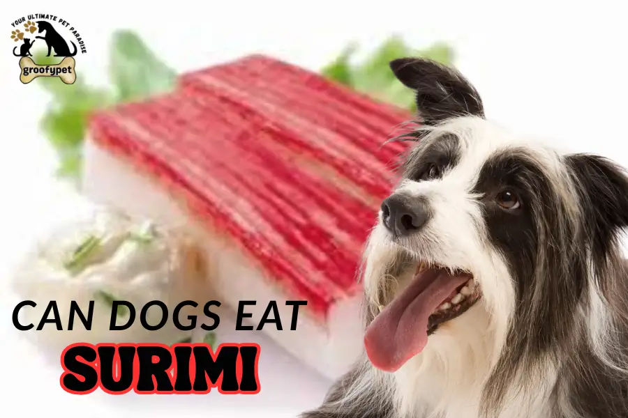 can dogs eat surimi