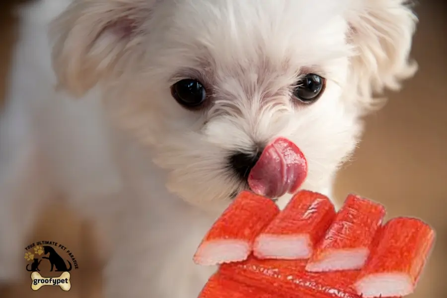 can dogs eat surimi