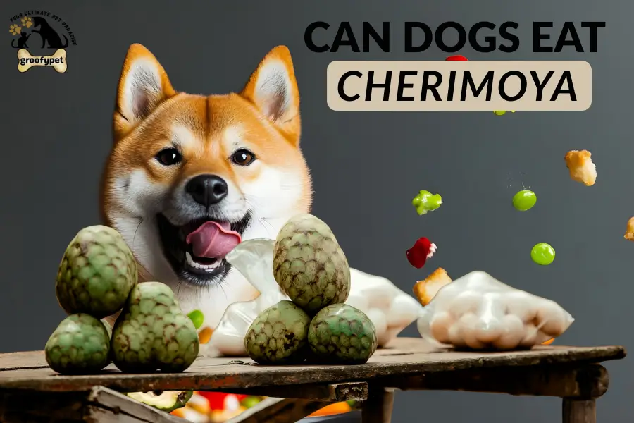 can dogs eat cherimoya