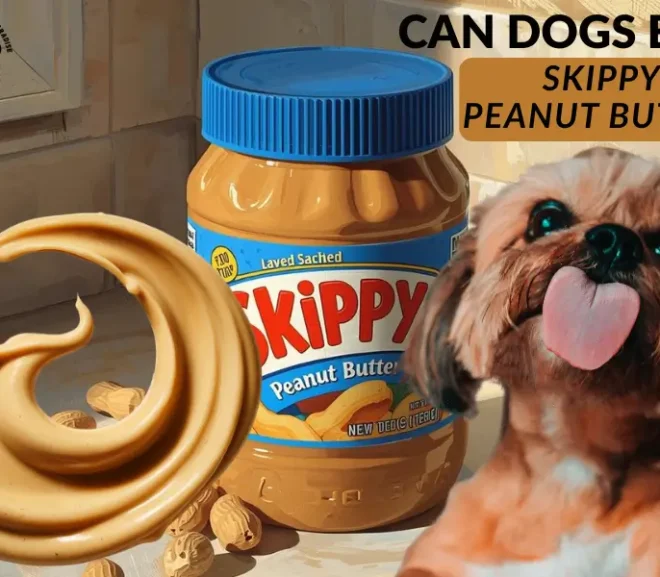 Can Dogs Eat Skippy Peanut Butter Without Health Risks!