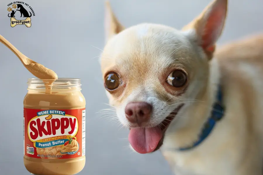 can dogs eat skippy peanut butter