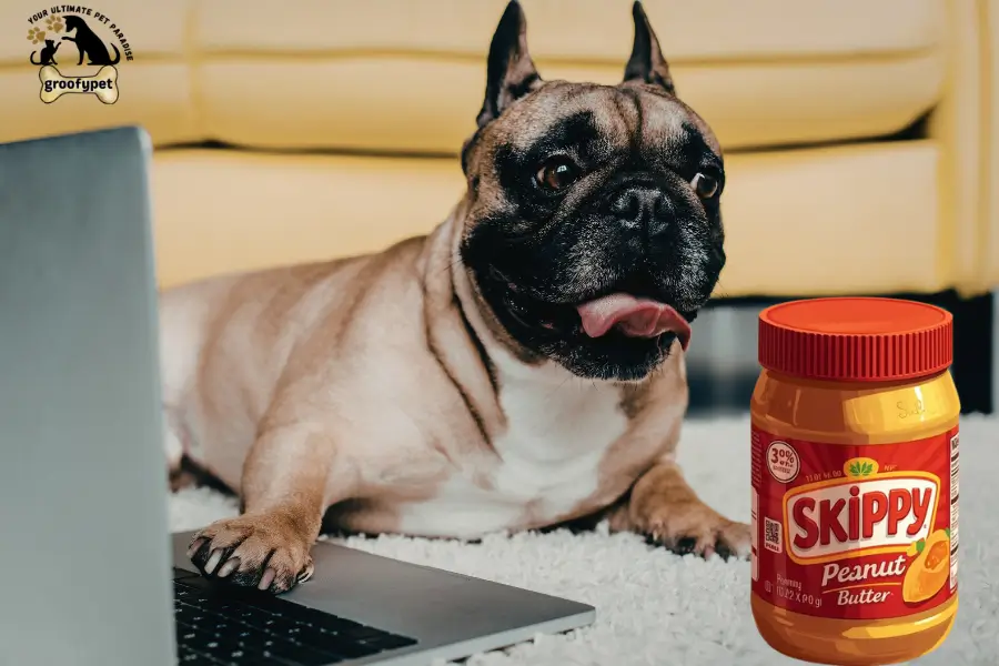 can dogs eat skippy peanut butter