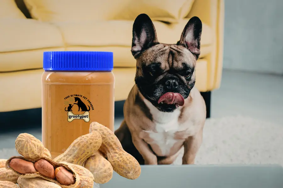 can dogs eat skippy peanut butter