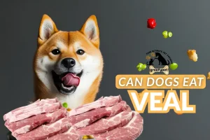 can dogs eat veal