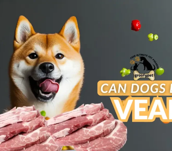 Can Dogs Eat Veal? Safe and Delicious Way to Spoil Your Dog!