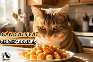 can cats eat chicharrones