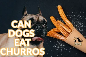 can dogs eat churros