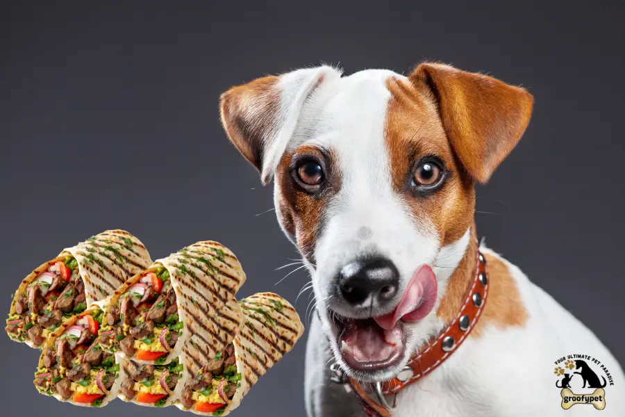 can dogs eat burritos