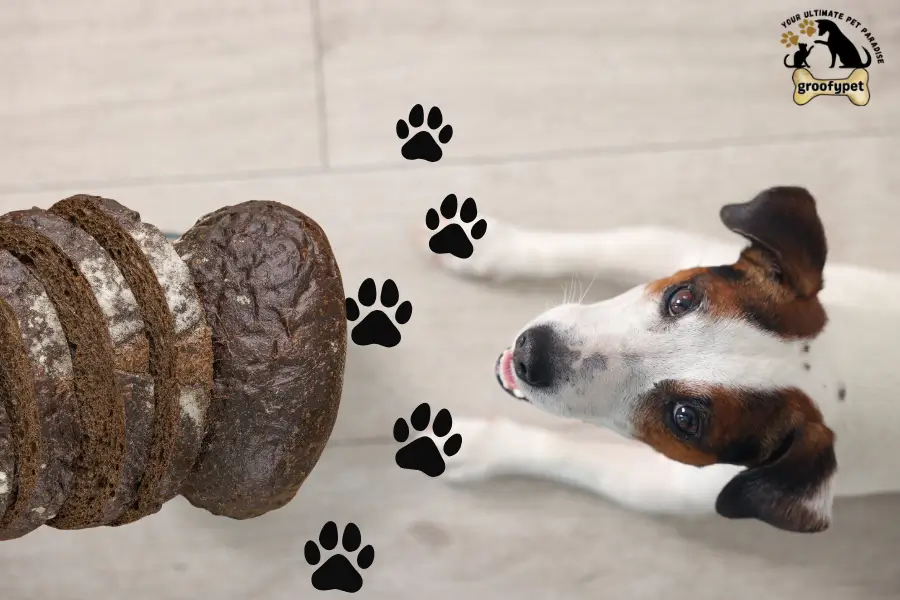 can dogs eat pumpernickel bread