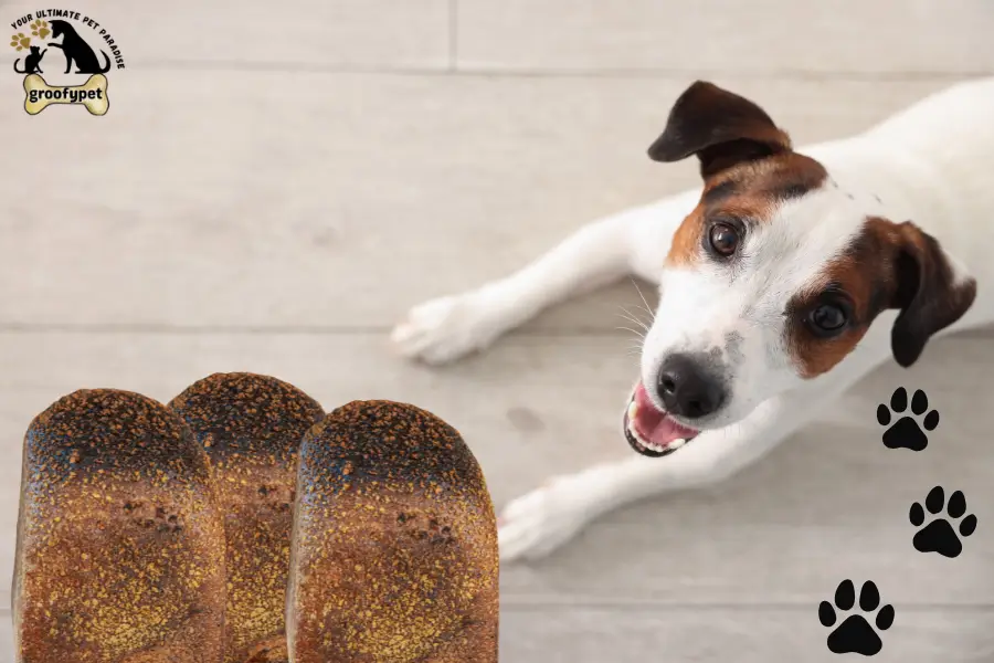 can dogs eat pumpernickel bread