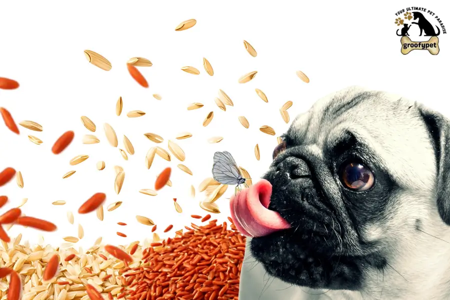 can dogs eat red rice