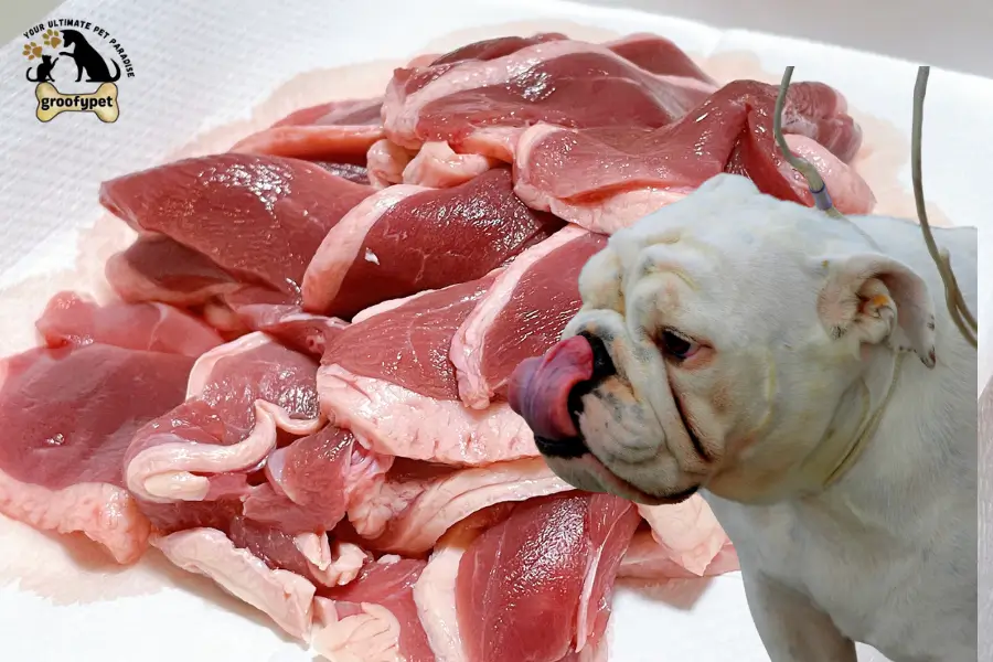 can dogs eat fat trimmings