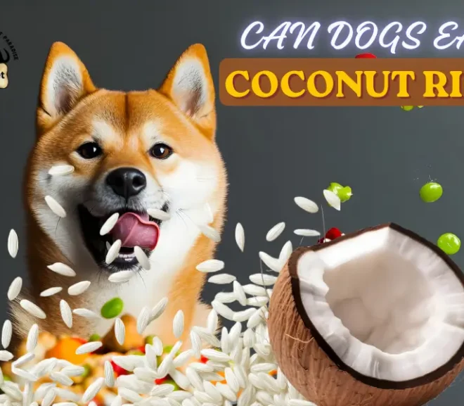 Can Dogs Eat Coconut Rice? A Safety Guide for Smart Pet Parents!