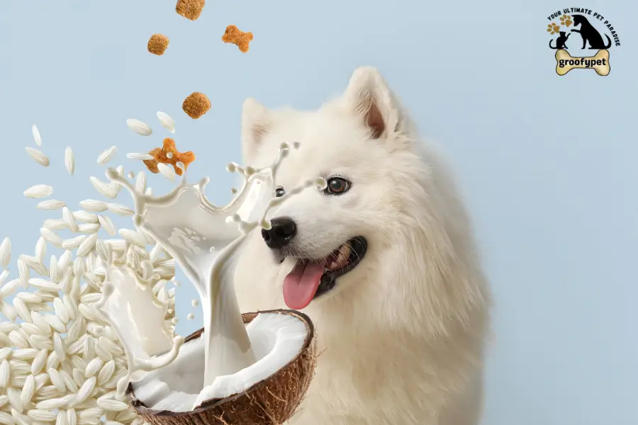 can dogs eat coconut rice