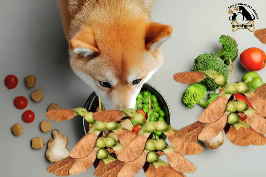 can dogs eat helicopter seeds