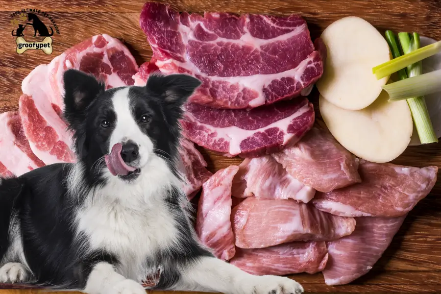 can dogs eat fat trimmings