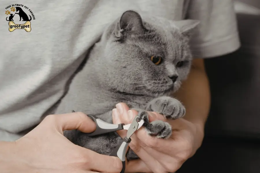 why do cats bite when grooming