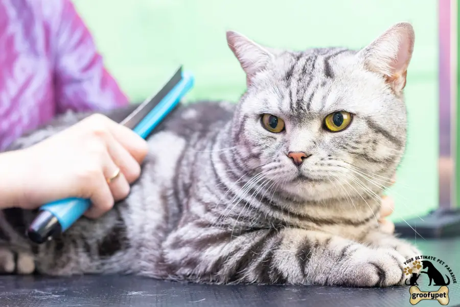 why do cats bite when grooming