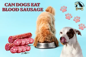 can dogs eat blood sausage