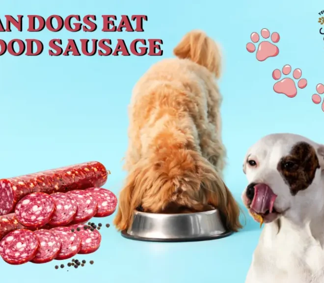 Can Dogs Eat Blood Sausage? Eye Opening Risks and Smart Feeding Tips!