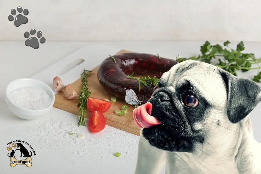 can dogs eat blood sausage