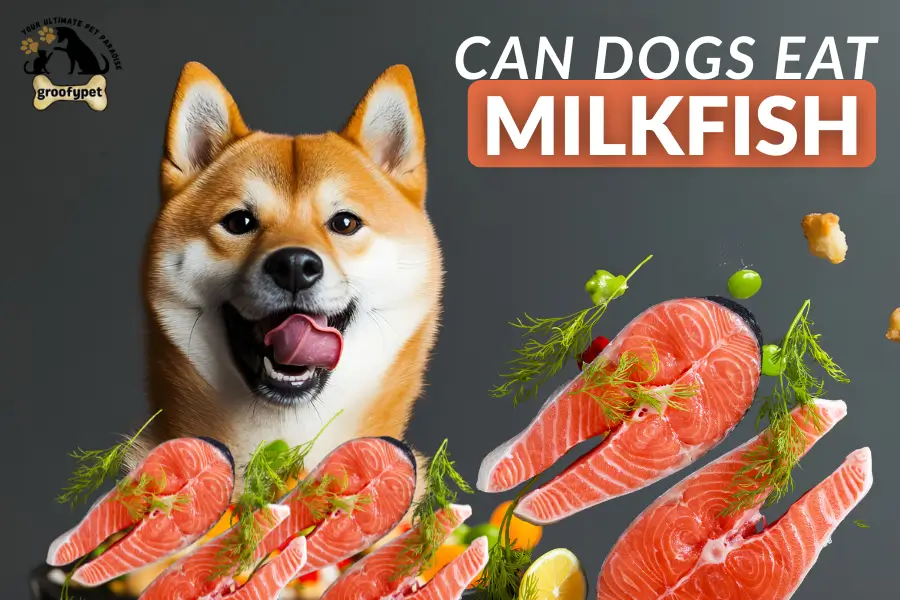 can dogs eat milkfish