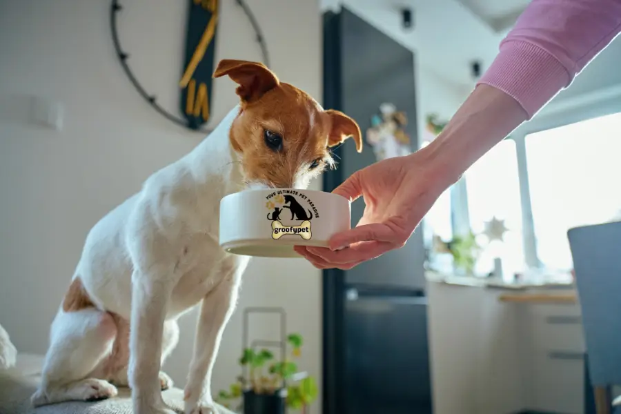 how much dog food to feed a puppy