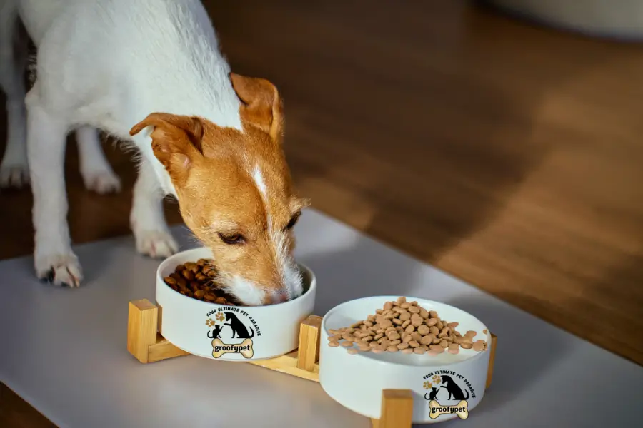 how much dog food to feed a puppy