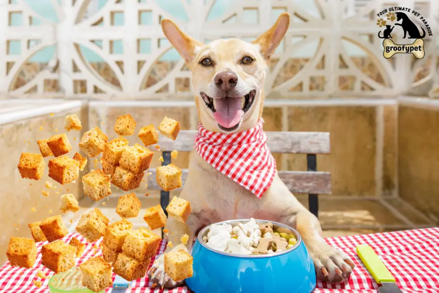can dogs eat bread crumbs