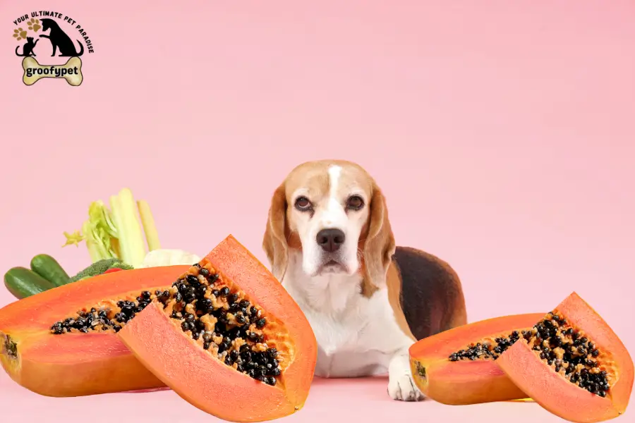can dogs eat papaya seeds
