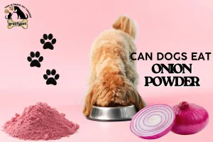 can dogs eat onion powder