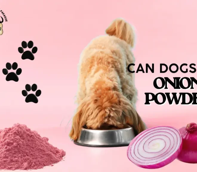 Can Dogs Eat Onion Powder? A Must-Read Guide to Keep Your Dog Safe!