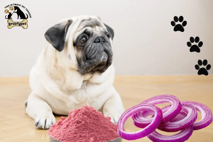 can dogs eat onion powder