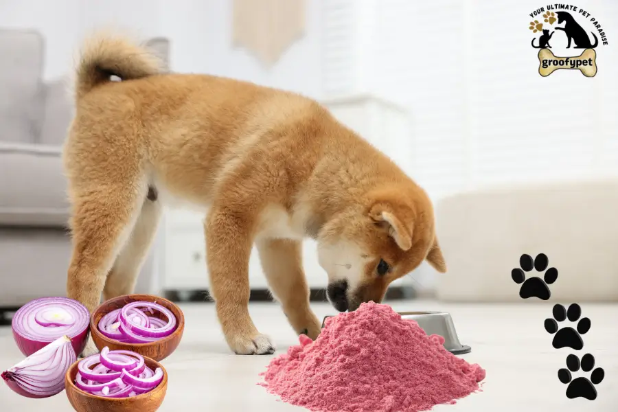 can dogs eat onion powder