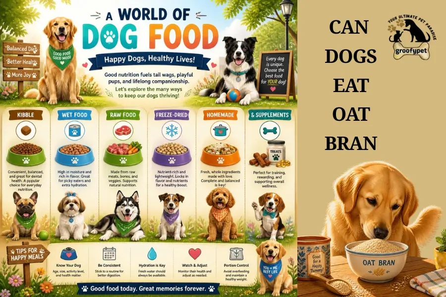 Can Dogs Eat Oat Bran
