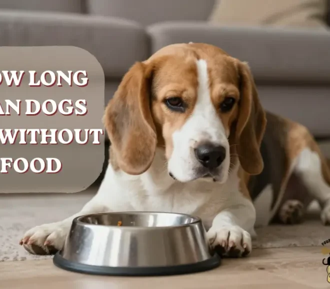 How Long Can Dogs Go Without Food? Life Saving Tips Inside!