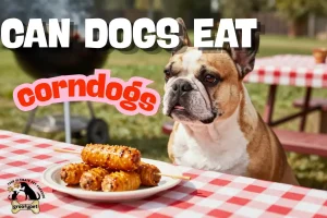 can dogs eat corndogs