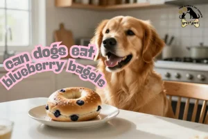 can dogs eat blueberry bagels