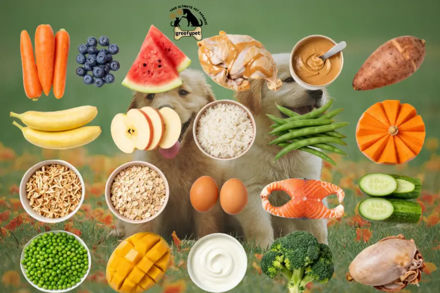 human foods puppies can eat