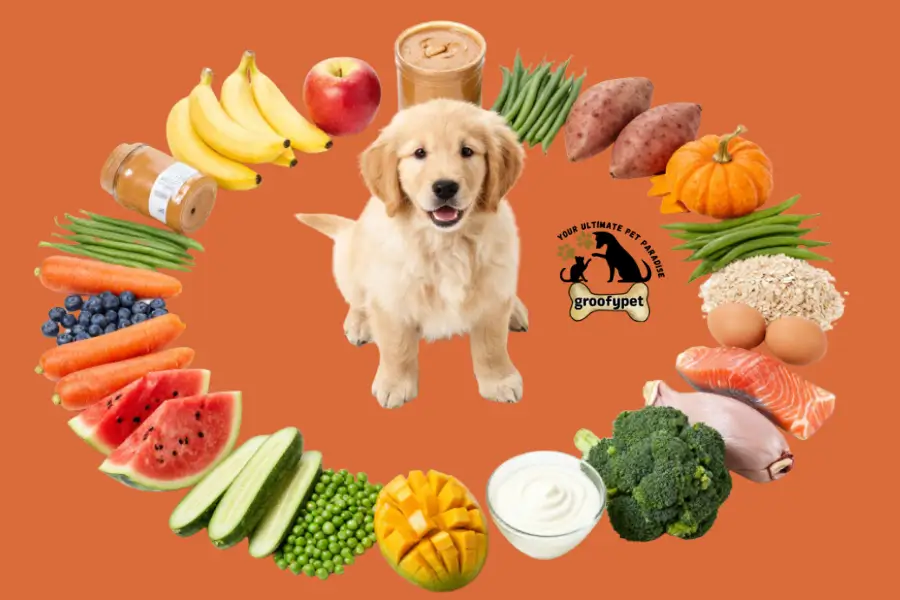 human foods puppies can eat
