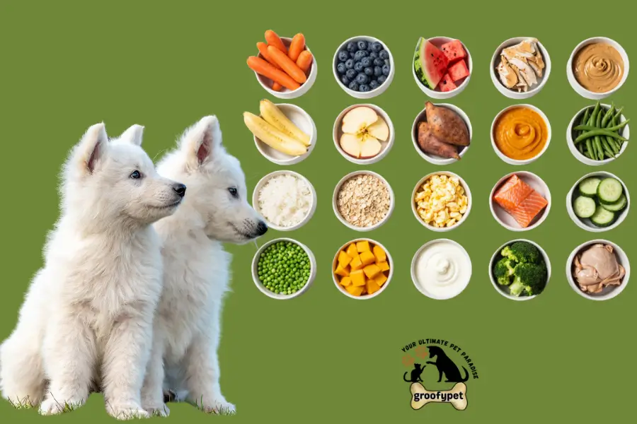 human foods puppies can eat