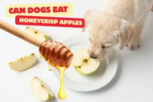 can dogs eat honeycrisp apples