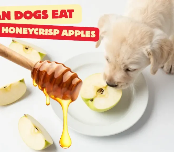 Can Dogs Eat Honeycrisp Apples? Smart Feeding Secrets Revealed!