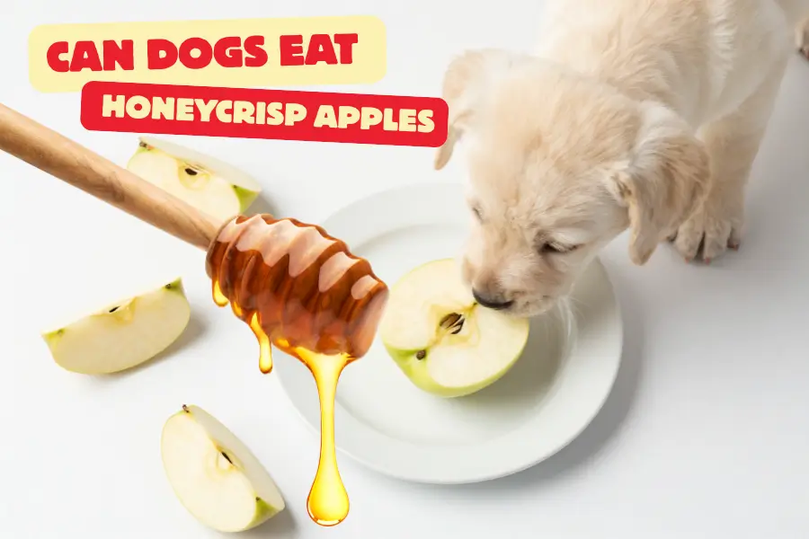 can dogs eat honeycrisp apples